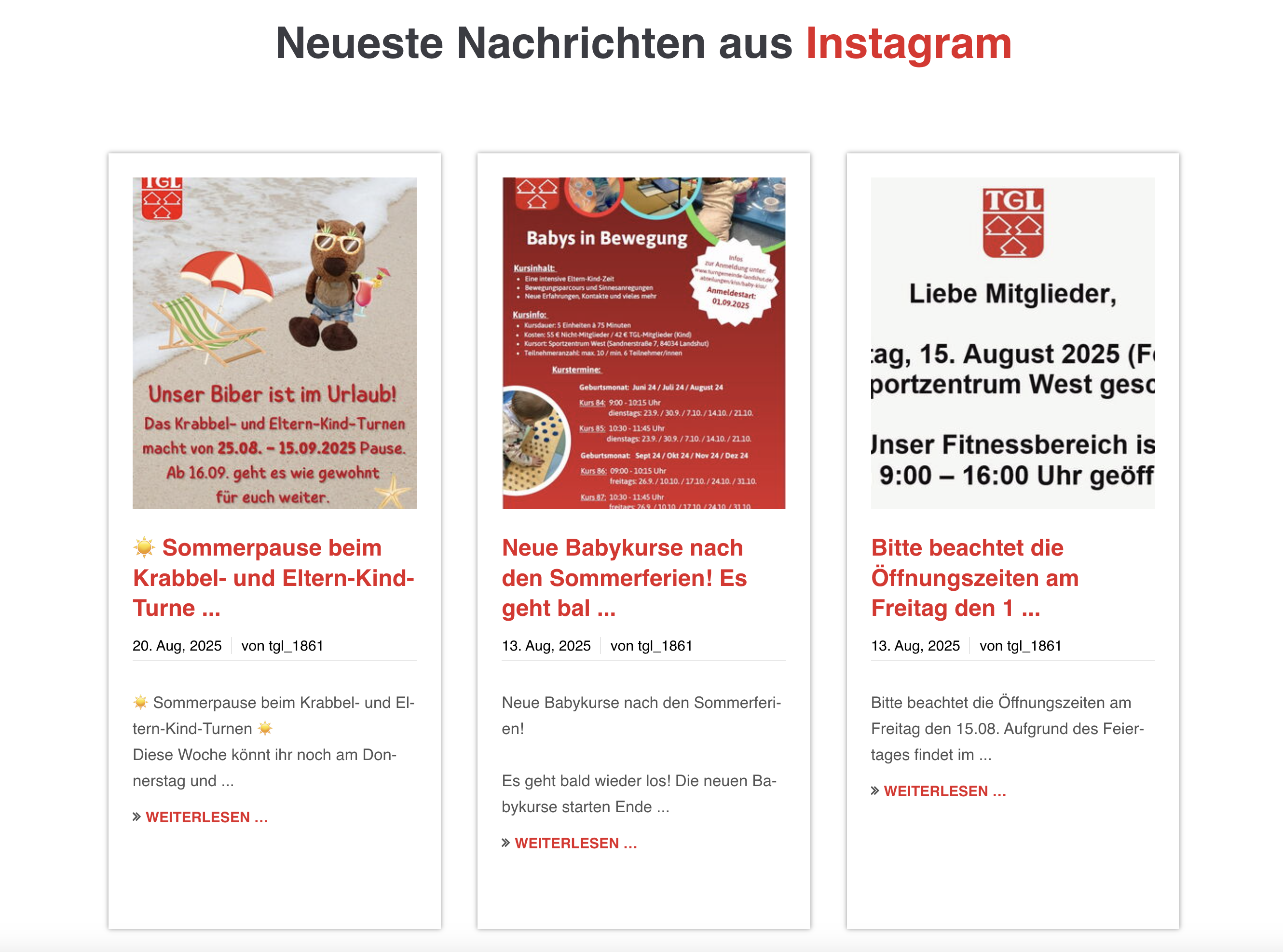 Die Instagram-Nachrichten informieren über Sommerpausen und neue Babykurse des Turnvereins Landshut TGL.